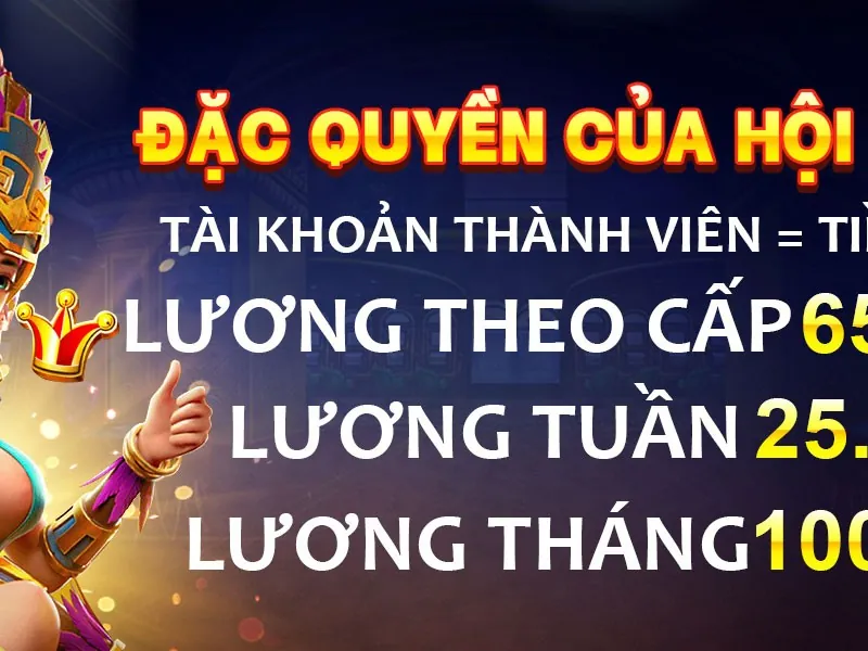 Kế hoạch thành viên VIP hi88